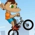 Bmx Bike Freestyle & Racing