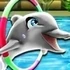 My Dolphin Show 7