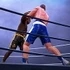 Ultimate Boxing Game